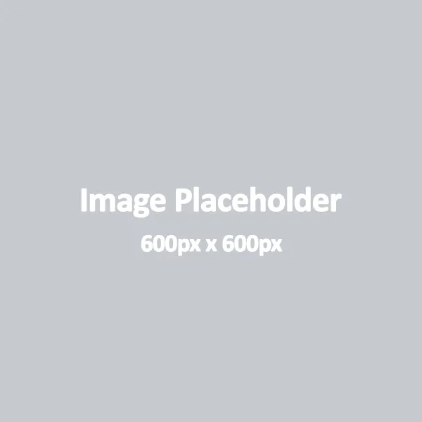Page Image Placeholder
