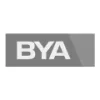 Butler & Young Associates Logo