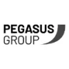 Pegasus Group